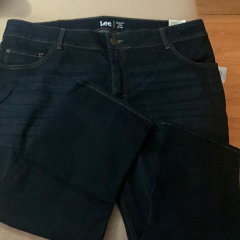 Size 24 capris